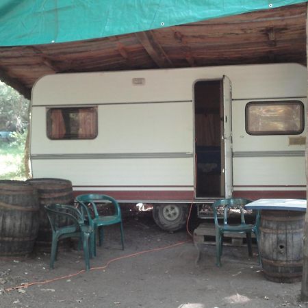 Air Naturel De Camping Moulin De Malesse Saint-Privat  Dış mekan fotoğraf